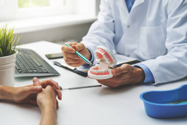 Best Emergency Dental Care  in Mango, FL
